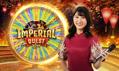 Bingo Bonuses and Rewards
